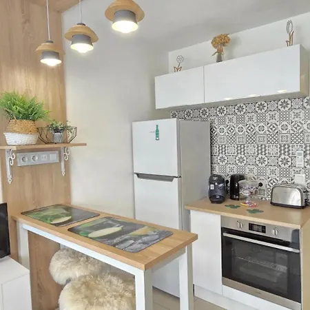 Coeur Liberation Apartamento Nice