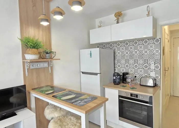 Coeur Liberation Apartamento Nice